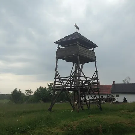 Csoergo Vendeghazak