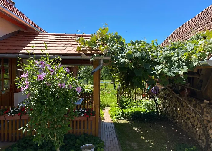 Csoergo Vendeghazak בית הארחה