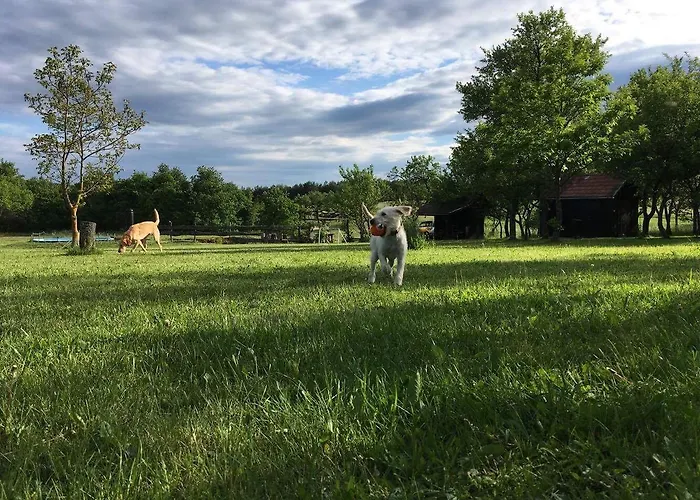 Csoergo Vendeghazak 3* Szalafő