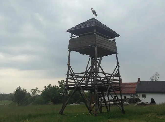 Csoergo Vendeghazak