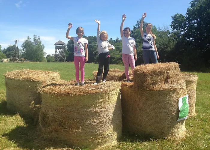 בית הארחה Csoergo Vendeghazak 3*